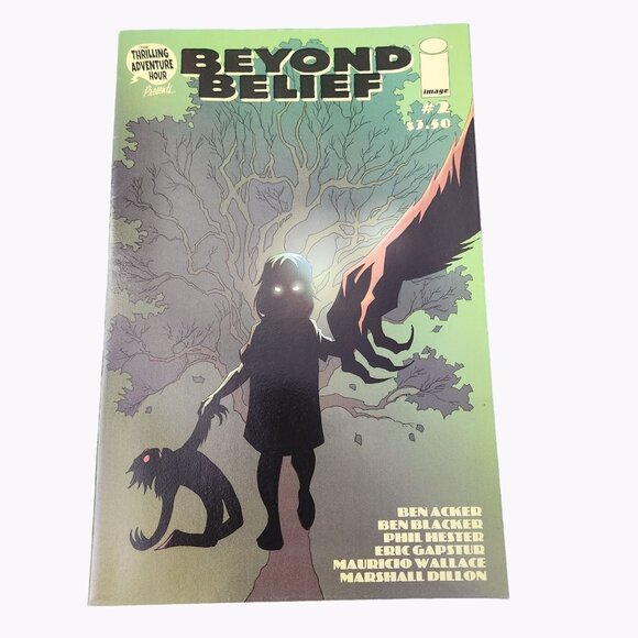 Image Beyond Belief #2 Comic Book Collector Bagged Boarded - Picture 1 of 2